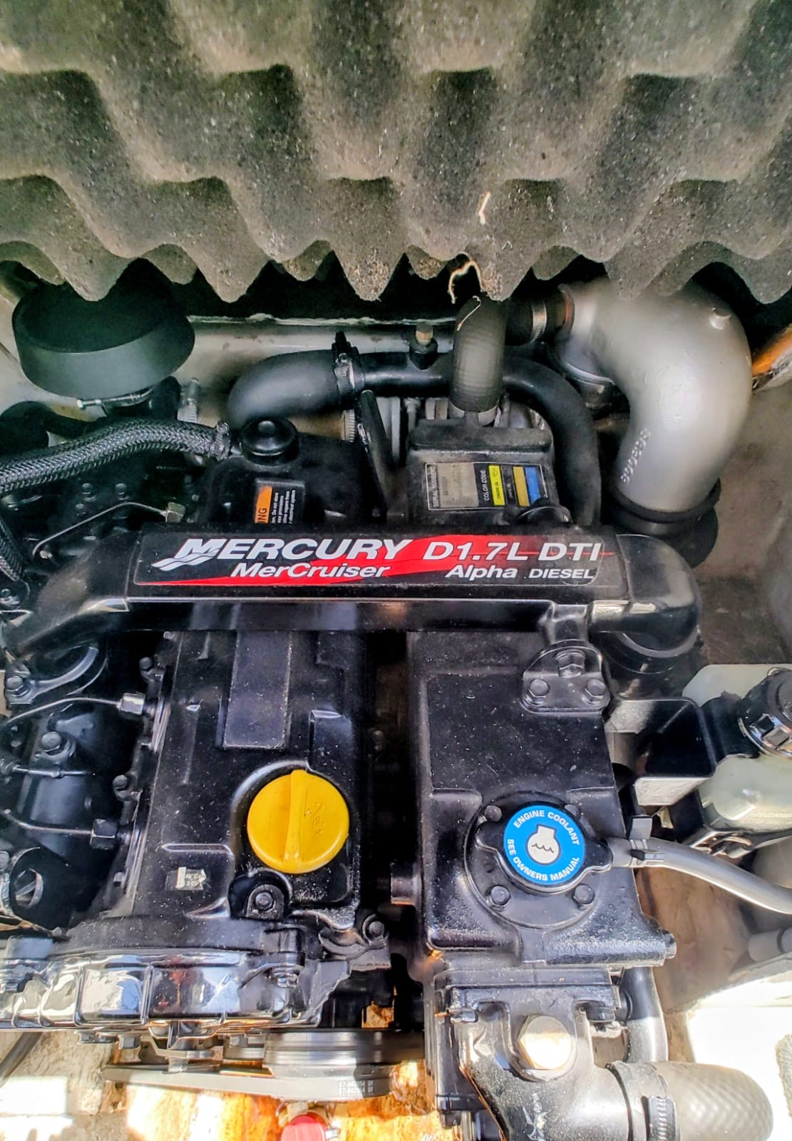 Canestrari Bakota 2006 Mercruiser 120 hp Diesel